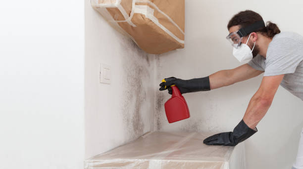 Attic Mold Remediation treatment on roof deck in Hines